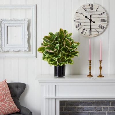 Image showing  24 in. Artificial Rubber Plant with Real Touch in Glossy Cylinder Planter