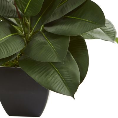 Image showing  23 in. Artificial Oak Ficus Plant