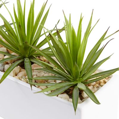 Image showing  8 in. Mini Agave Artificial Plant in Rectangular Ceramic
