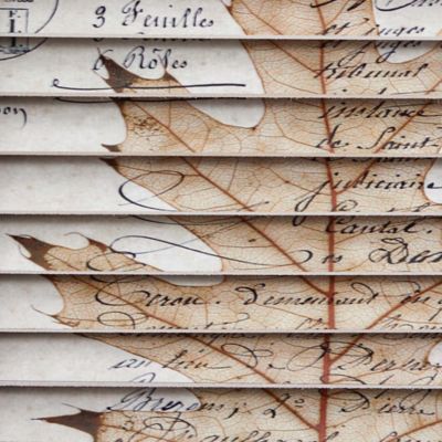 Image showing  Maple Leaf Window Shutter Vintage Wall Decor, 24 in. x 16 in.