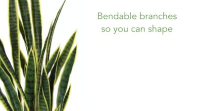 Image showing  4 ft. Sansevieria Artificial Plant