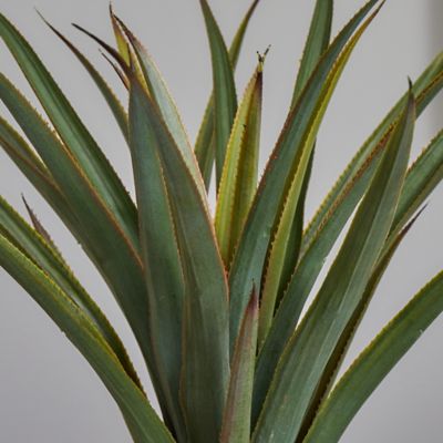 Image showing  30 in. Artificial Agave Plant, 8315
