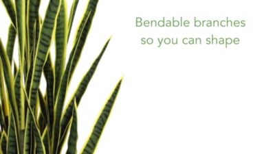 Image showing  5 ft. Sansevieria Artificial Plant