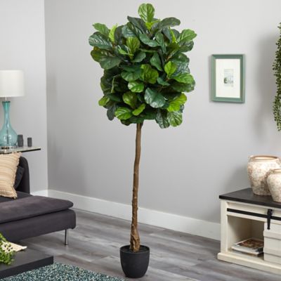 Image showing  6 ft. Fiddle Leaf Artificial Tree, Real Touch