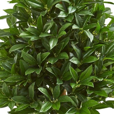 Image showing  3 ft. Artificial Indoor/Outdoor UV-Resistant Bay Leaf Topiary Tree