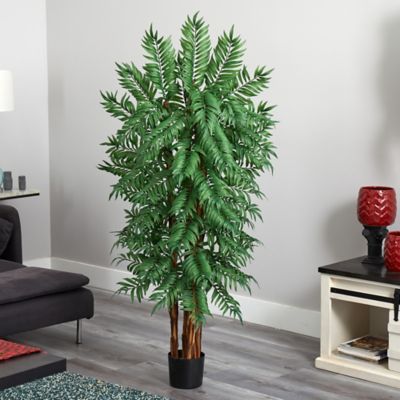 Image showing  5.5 ft. Parlour Artificial Palm Tree