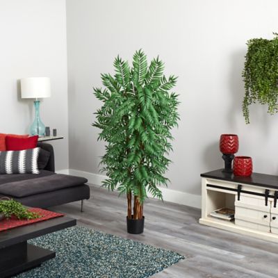 Image showing  5.5 ft. Parlour Artificial Palm Tree