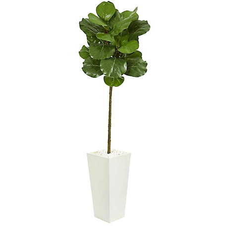 Nearly Natural 5.5 ft. Fiddle Leaf Artificial Tree in White Tower Planter