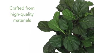 Image showing  71 in. Fiddle Leaf Fig Artificial Tree in Black Planter