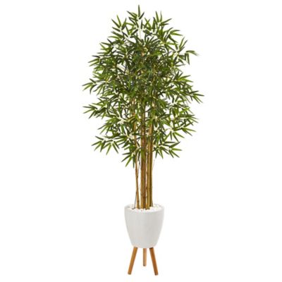 Nearly Natural 74 in. Artificial Bambusa Bamboo Tree in White Planter with Stand