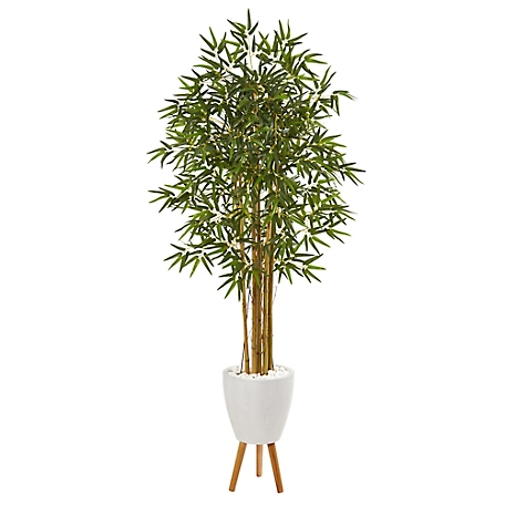 Nearly Natural 74 in. Artificial Bambusa Bamboo Tree in White Planter with Stand