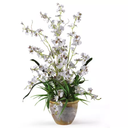 Almost Natural Dancing Lady 26" Silk Orchid Arrangement Artificial Plants & Flowers