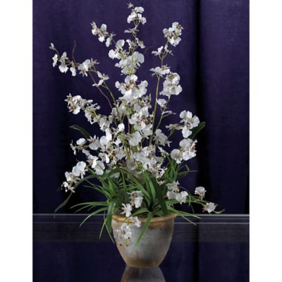 Image showing  26 in. Silk Dancing Lady Orchid Arrangement