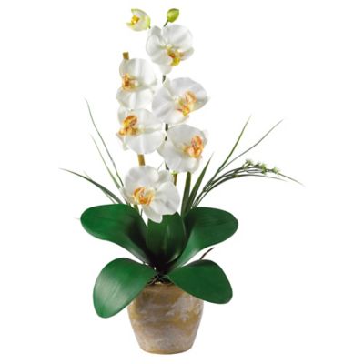 Nearly Natural Single Stem Phalaenopsis Silk Orchid Flower Arrangement, Cream