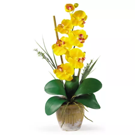 Nearly Natural Single Stem Silk Phalaenopsis Orchid Floral Arrangement Golden Yellow Artificial Plants & Flowers