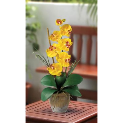 Image showing  Single Stem Phalaenopsis Silk Orchid Flower Arrangement, Gold Yellow