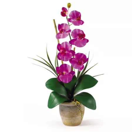 Nearly Natural Single Stem Phalaenopsis Silk Orchid Floral Arrangement Orchid Artificial Plants & Flowers