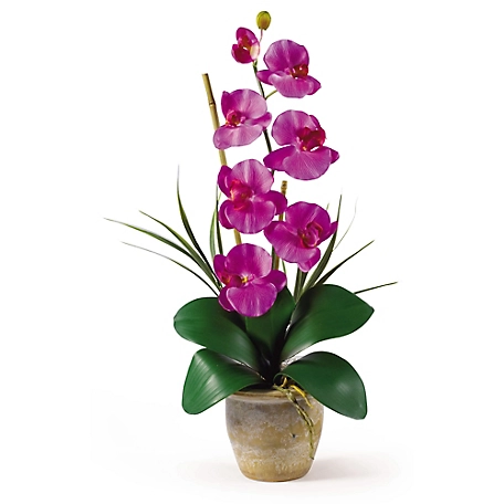 Nearly Natural Single Stem Phalaenopsis Silk Orchid Flower Arrangement, Orchid