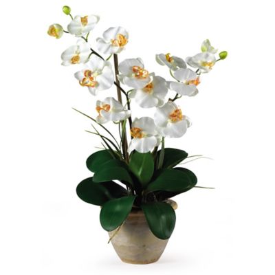 Nearly Natural 25 in. Double-Stem Phalaenopsis Silk Orchid Flower Arrangement, Cream