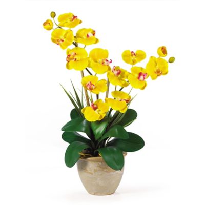 Nearly Natural 25 in. Double-Stem Phalaenopsis Silk Orchid Flower Arrangement, Yellow