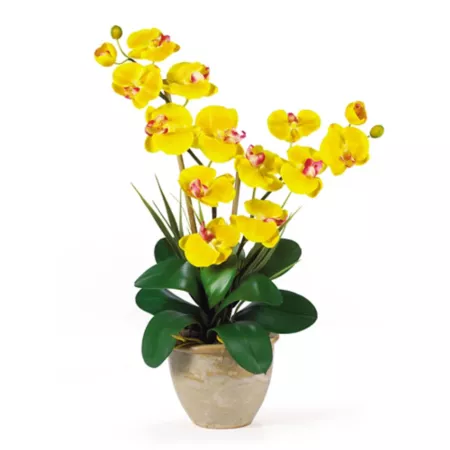 Nearly Natural 25" Double Stem Silk Phalaenopsis Orchid Floral Arrangement Yellow Artificial Plants & Flowers