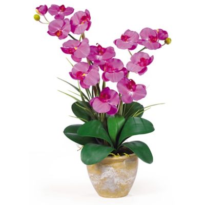 Nearly Natural 25 in. Double-Stem Phalaenopsis Silk Orchid Flower Arrangement, Orchid