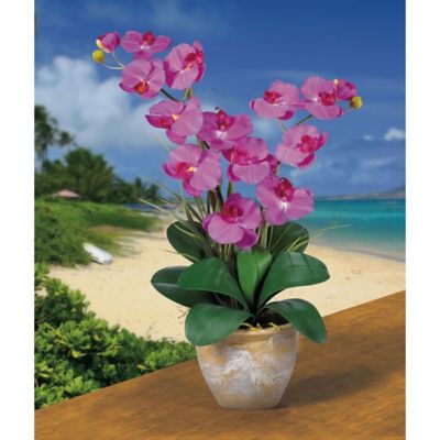 Image showing  25 in. Silk Double-Stem Phalaenopsis Orchid Flower Arrangement