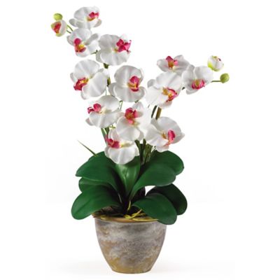 Nearly Natural 25 in. Silk Double-Stem White Phalaenopsis Orchid Flower Arrangement