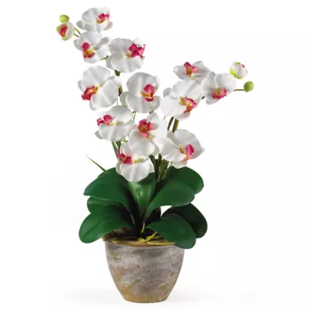 Nearly Natural 25" Double Stem Silk Phalaenopsis Orchid Floral Arrangement White Artificial Plants & Flowers