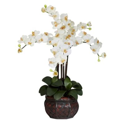 Nearly Natural 31 in. Silk Cream Phalaenopsis Flower Arrangement in Decorative Vase