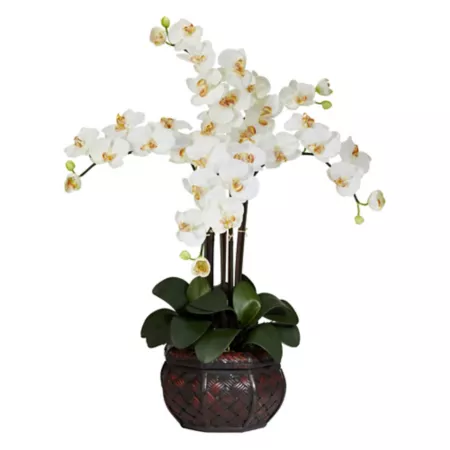 Nearly Natural 31 in Silk Phalaenopsis Flower Arrangement with Decorative Vase Cream Artificial Plants & Flowers