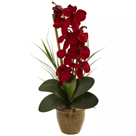 Arrangement of Near-Natural Silk Phalaenopsis Orchids in Ceramic Vase Artificial Plants & Flowers