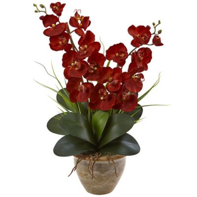 Nearly Natural 25 in. Double Phalaenopsis Harvest Silk Orchid Arrangement in Ceramic Vase