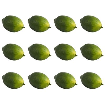 Nearly Natural Faux Limes, 12 pc.