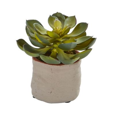 Image showing  6 in. Artificial Succulent Plants, 4-Pack