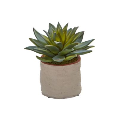 Image showing  6 in. Artificial Succulent Plants, 4-Pack