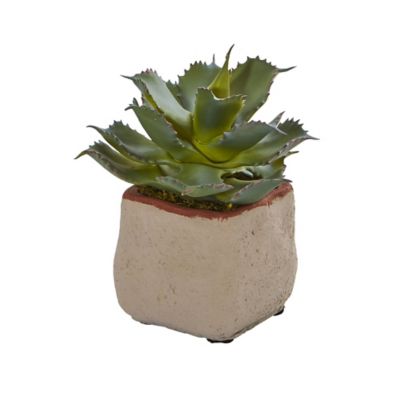 Image showing  6 in. Artificial Succulent Plants, 4-Pack