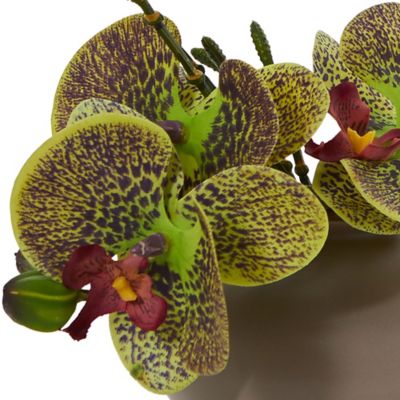Image showing Nearly Natural 7 in. Faux Phalaenopsis Orchid Arrangement, 3 pk.