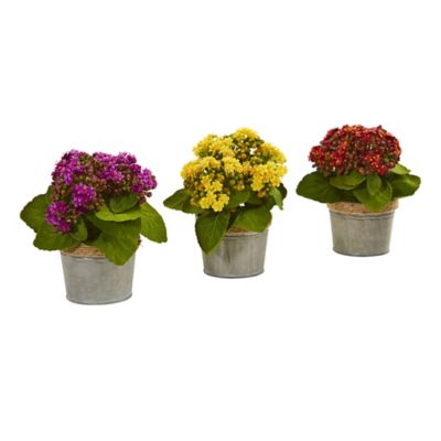 Nearly Natural 9 in. Artificial Kalanchoe Arrangements, 3 pc.