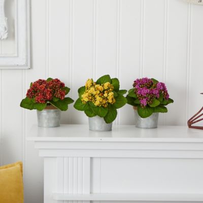 Image showing Nearly Natural 9 in. Artificial Kalanchoe Arrangements, 3 pk.