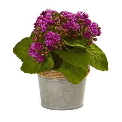 Image showing Nearly Natural 9 in. Artificial Kalanchoe Arrangements, 3 pk.