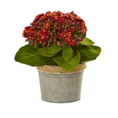 Image showing Nearly Natural 9 in. Artificial Kalanchoe Arrangements, 3 pk.