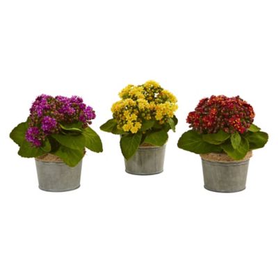 Image showing 5 th Nearly Natural 9 in. Artificial Kalanchoe Arrangements, 3 pk.