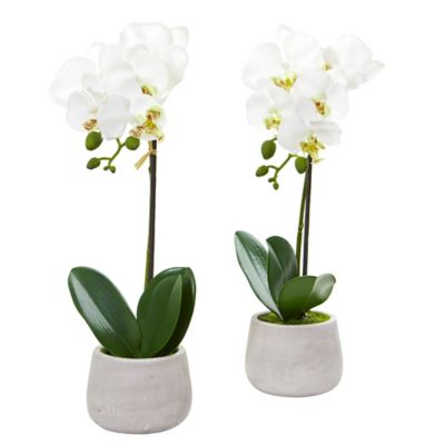 Nearly Natural 15 in. Artificial Phalaenopsis Orchid Arrangements, 2 pc.