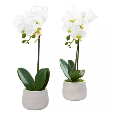 Nearly Natural 15" Artificial Phalaenopsis Orchid Arrangements 2 Pack Artificial Plants & Flowers