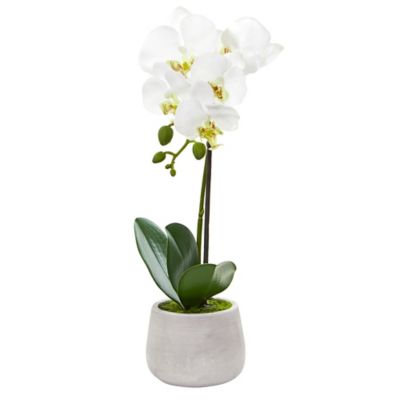 Image showing  15 in. Artificial Phalaenopsis Orchid Arrangements, 2 pc.