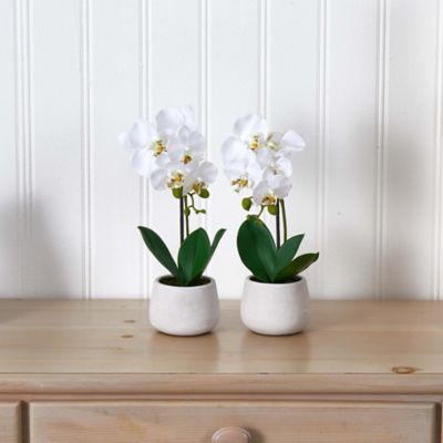 Image showing  15 in. Artificial Phalaenopsis Orchid Arrangements, 2 pc.