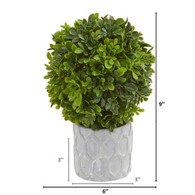 Image showing 1 th Nearly Natural 9 in. 3 pc. Boxwood Artificial Mini Topiary Set