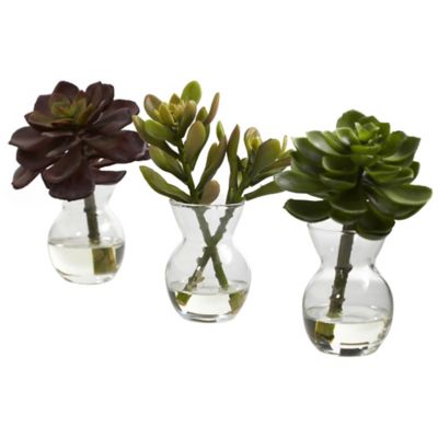 Nearly Natural 6 in. Faux Succulent Arrangements, 3-Pack