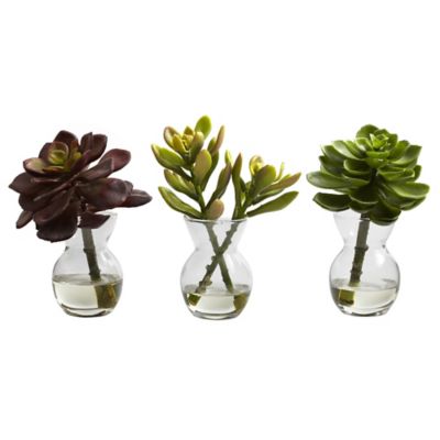 Image showing  6 in. Faux Succulent Arrangements, 3-Pack